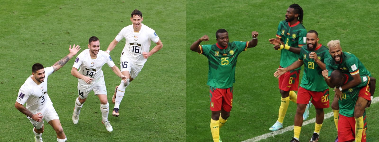 FIFA World Cup: Cameroon, Serbia share the spoils